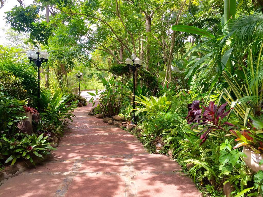 Phu Pha Nam Resort Dan Sai Exteriér fotografie