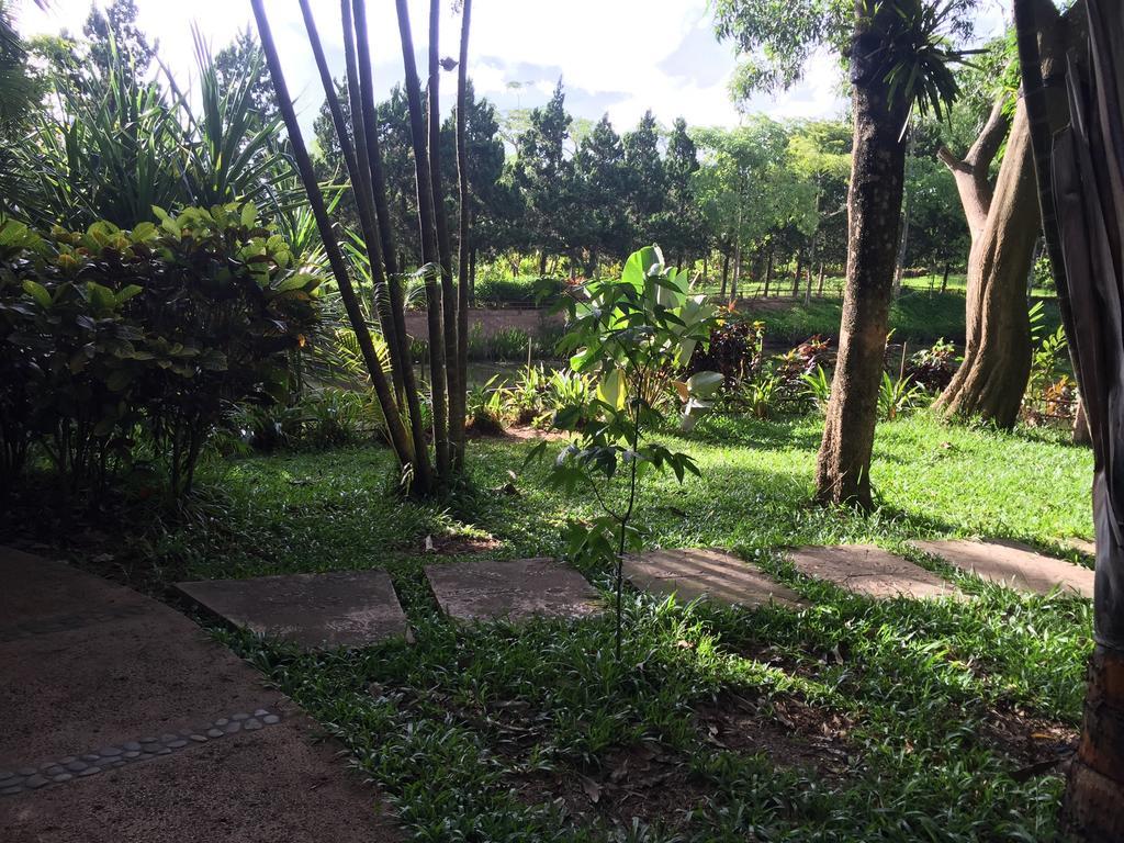 Phu Pha Nam Resort Dan Sai Exteriér fotografie