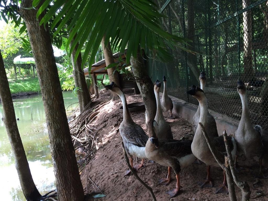 Phu Pha Nam Resort Dan Sai Exteriér fotografie